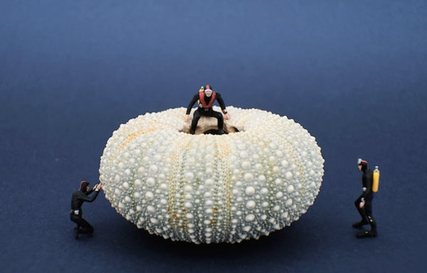 The Bubble's Pull Was Strong (A4)